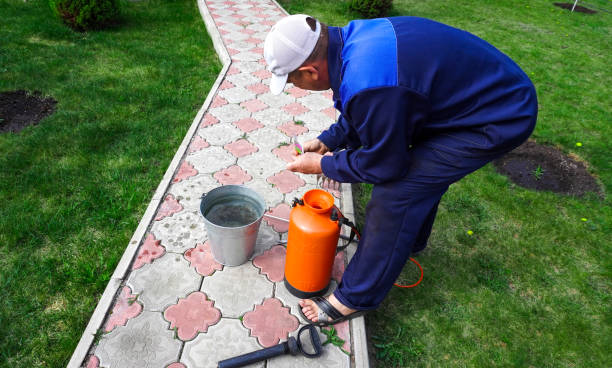 Expert Concrete Driveway Staining And Sealing For Your Home​